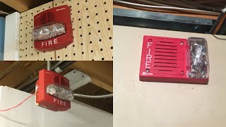 Fire Alarm System Test: TrueAlerts! | #FireAlarmFriday