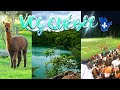 Vlog qubec  saintcalixte et gatineau ferme can gato parc lac pink  aylee