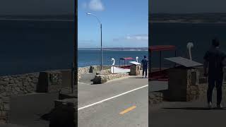 Lover’s Point Monterey