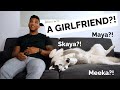 Help my dog pick a girlfriend husky talks to girls on tv