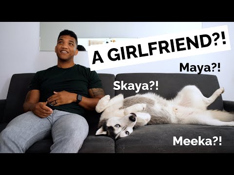 Video: Kā es satiku savu suni - Jake atrašana