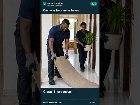 Video preview: Carry a box as a team
