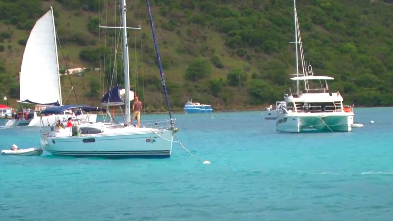 Backyard Scenes – GreatHarbor, JVD, British Virgin Islands, Caribbean