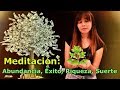 🌛MEDITACIÓN GUIADA para ABUNDANCIA| DINERO| SUERTE| RIQUEZA y PROSPERIDAD | ASMR