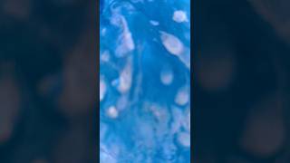 Acrylic Pouring Magic ✨ | Fluid Art Process #shorts