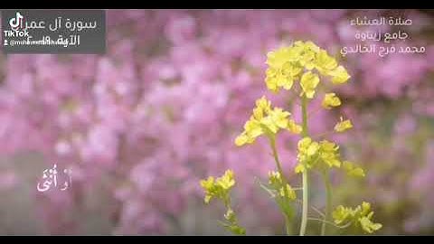 سورة آل عمران الآية١٩٠-٢٠٠ محمد الخالدي