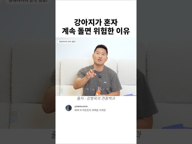 강아지가 혼자 계속 돌면 위험한 이유