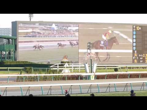 2009年 有馬記念 ドリームジャーニー号&池添謙一