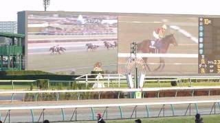 2009年 有馬記念 ドリームジャーニー号&池添謙一