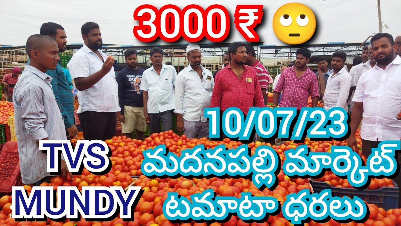 10/07/23 Madanapalli Tomato Market Price Today Today Tomato Market