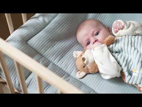 🦊 Little Dutch Szundikendő - Róka (Forest Friends) | A babák legpuhább alvótársa! 💤
