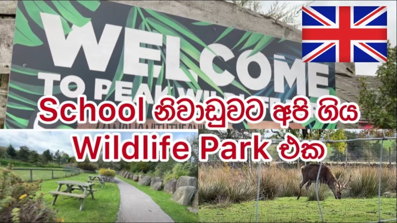Peak Wildlife Park Wildlife Park In UK Sinhala UK 2022 YouTube peak-wildlife-park-wildlife-park-in-uk-sinhala-uk-2022-youtube