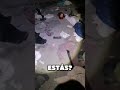 Fragmento de Urbex de Espectros Paranormales