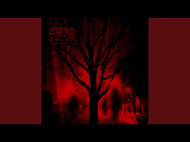 Drug Honkey - Dead Days