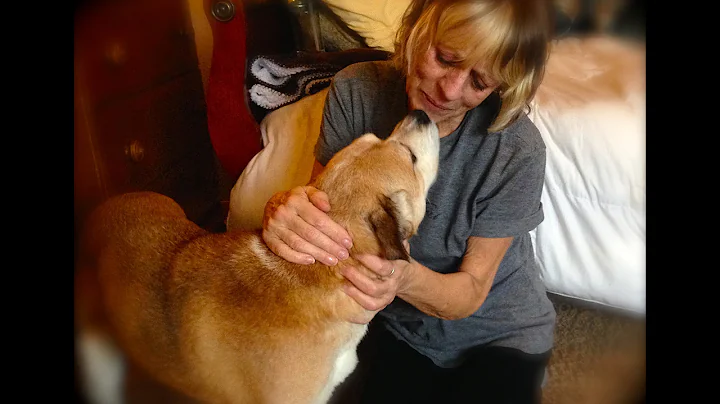 Judy McCloskey Slideshow
