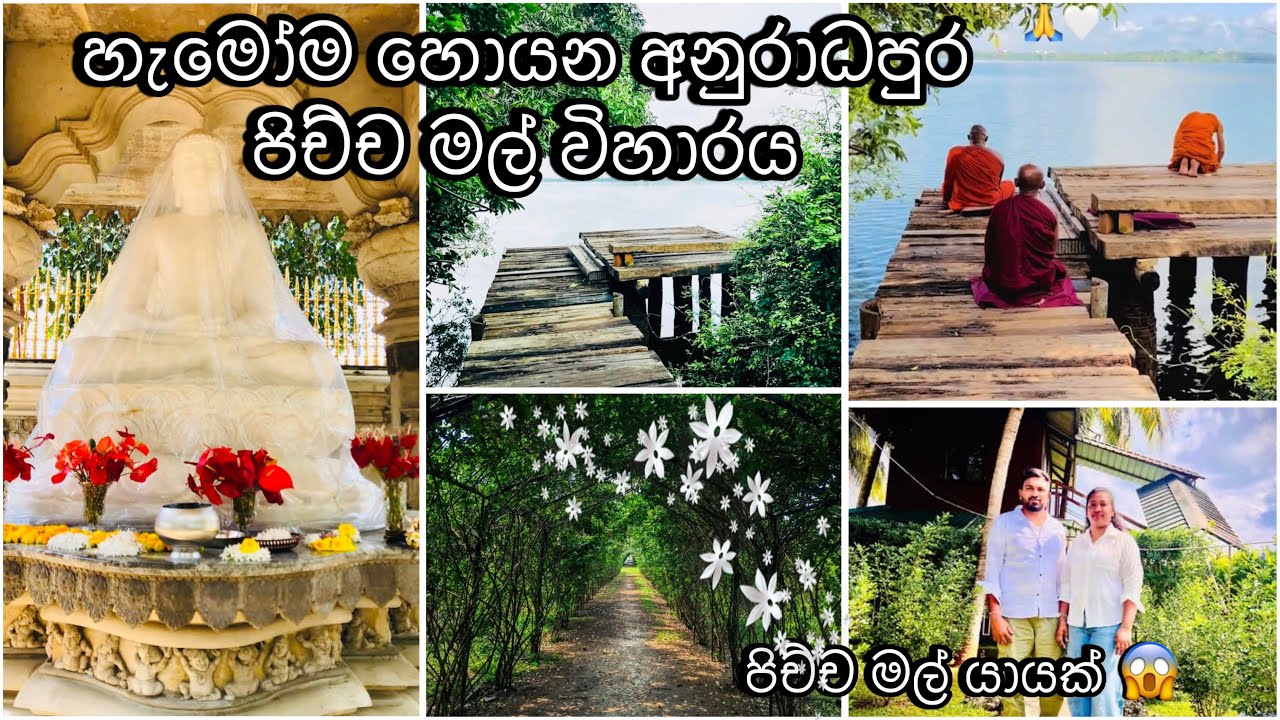 හැමෝම හොයන අනුරාදපුර පිච්චමල් විහාරය🙏දැකලා නෑ මෙහෙම තැනක් ෂුවර්😁 පිච්ච යායක්#pichchamalviharaya
