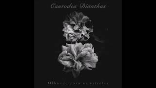 Cantodea Dianthus - Olhando Para As Estrelas (Full EP) (2021)