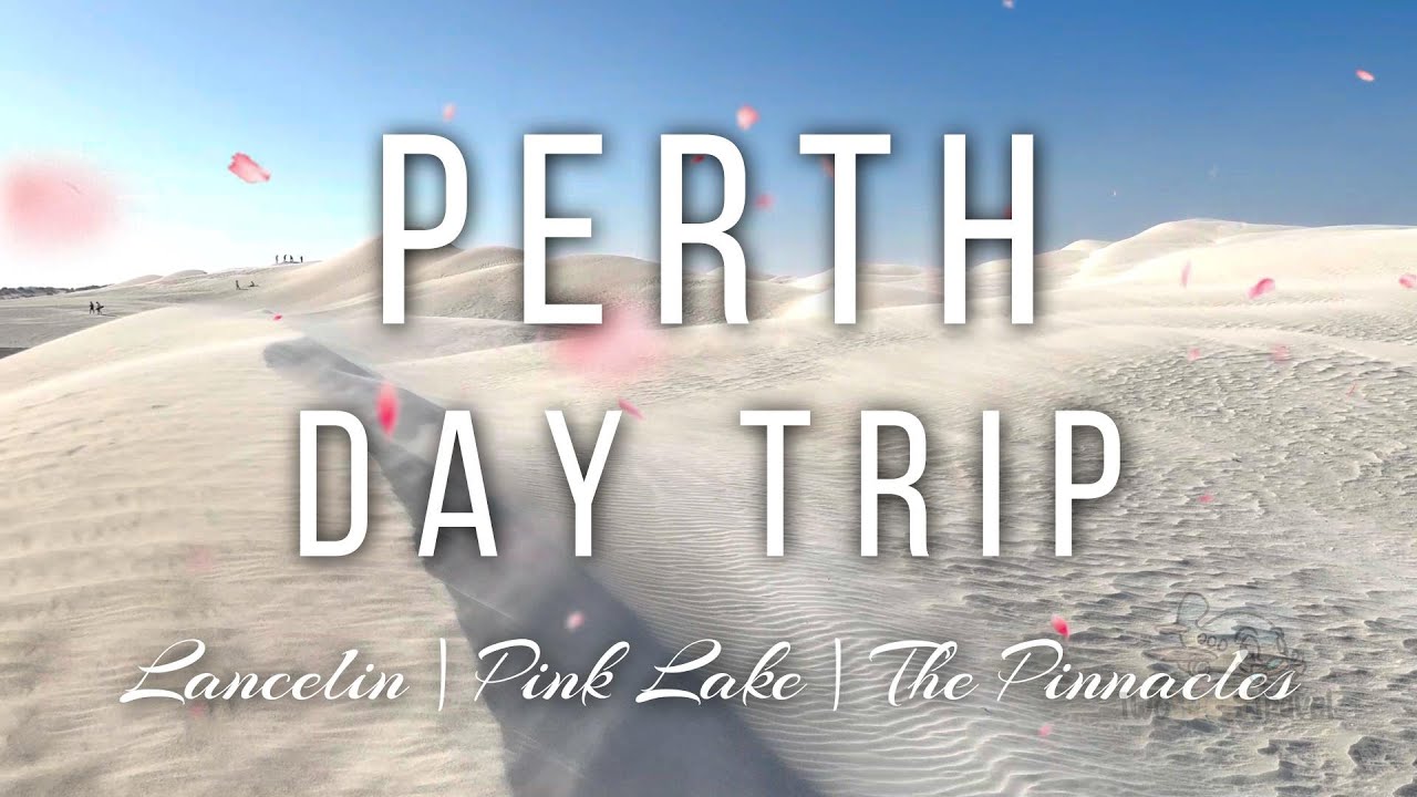 Perth Day Trip | Australia Vlog Part 3 ☀️🌊 | Lancelin, Pink Lake, The Pinnacles
