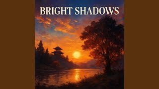 Bright Shadows