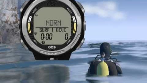 Oceanic OCS Dive Computer - Overview
