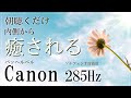 【朝に聴くだけ】花とカノン 心身を整えるソルフェジオ周波数285Hzチューニング #瞑想 #開運 Recovering physical condition just by listening