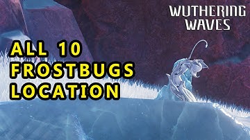 ALL Frostbugs Location WUTHERING WAVES 1.1