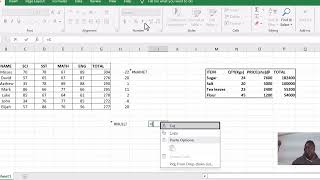 Mastering Excel,,,,, How to Identify and Fix Errors