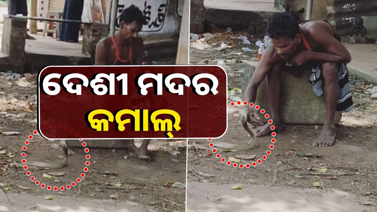 ମାତାଲ୍‌ ଯୁବକଙ୍କୁ ଲାଗୁନି ଡର, ବିଷଧର ସାପ ସହ କରୁଛନ୍ତି ଏମିତି କାଣ୍ଡ || Knews Odisha