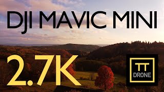 DJI Mavic Mini - Cinematic 2.7K Fall Sunset Drone Video