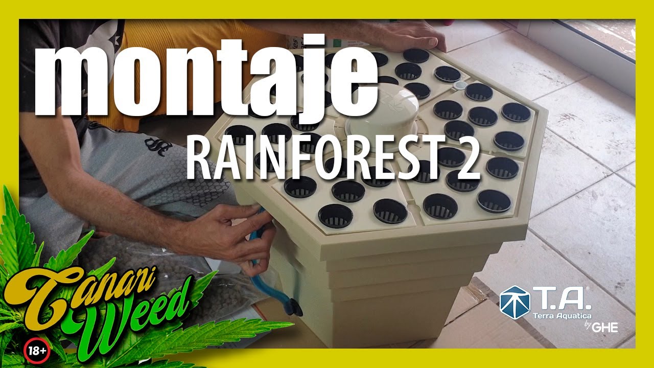 MONTAJE de RAINFOREST 2 TERRA AQUATICA / (Ex GHE)