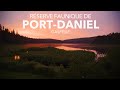Rserve faunique de portdaniel  gaspsie  travel film 4k