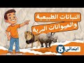 النباتات الطبيعية والحيوانات البرية للصف الخامس الابتدائى 2026 مستر عطا ذكى شحتو 