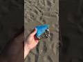 Made a tiny beach memory with sand, shells, and sunshine 🐚✨
