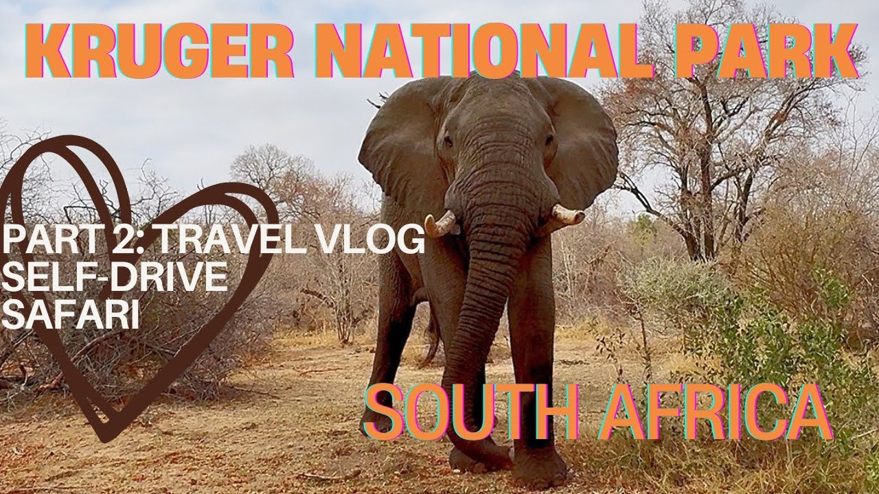 KRUGER NATIONAL PARK | south africa | SELF-DRIVE SAFARI DAY | travel vlog 🩷🇿🇦