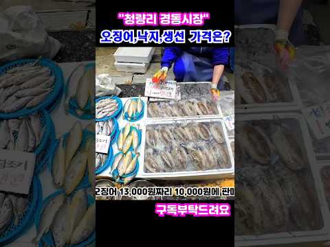 청량리경동시장 오징어,생물낙지,생선 가격은?