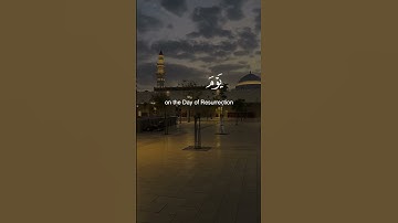 #القران_الكريم_راحه_نفسية😍🕋 #تلاوة_خاشعة #القران_الكريم #quran_alkarim #fouryoupage #fyp #المصحف