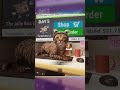 Cutest Catto #gaming #order13 #horror #horrorgame