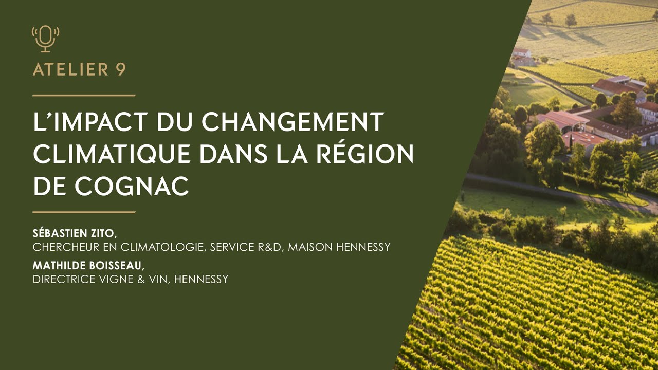 L'impact du changement climatique : 4 questions à Sébastien Zito