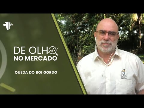 VALORIZAÇÃO DO REAL E ABATE DE FÊMEAS PROVOCAM QUEDA DO BOI GORDO