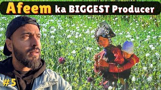 Biggest OPIUM producer of the world - The Golden Triangle
