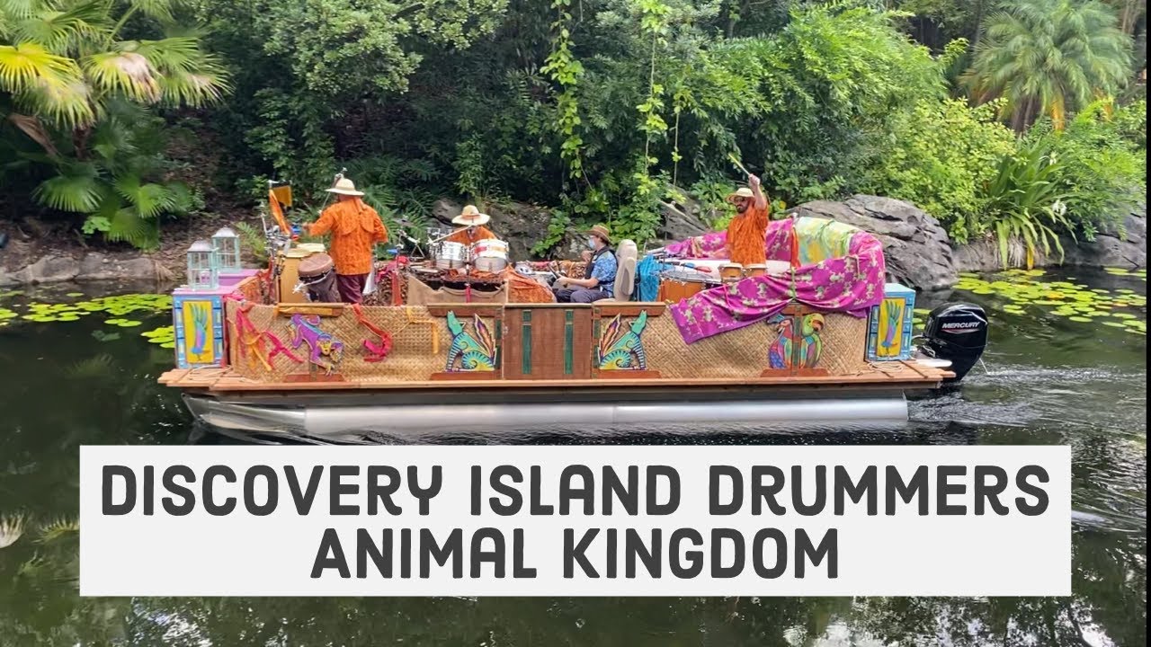 Discovery Island Drummers Animal Kingdom Disney World YouTube