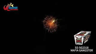 SS-5G2318 SUNS FIREWORKS MAFIA GANGSTER 22 SHOT | San Tan Fireworks