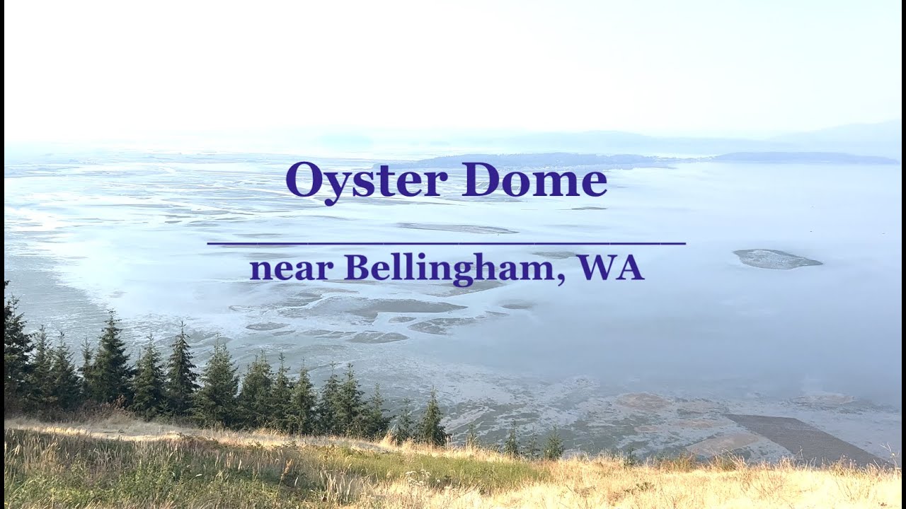 Oyster Dome YouTube