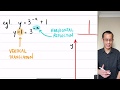 Graphing Exponential Functions Concepts