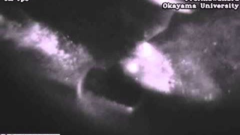 High-Speed Video Camera HPV-X2 – "Spark Plugs"