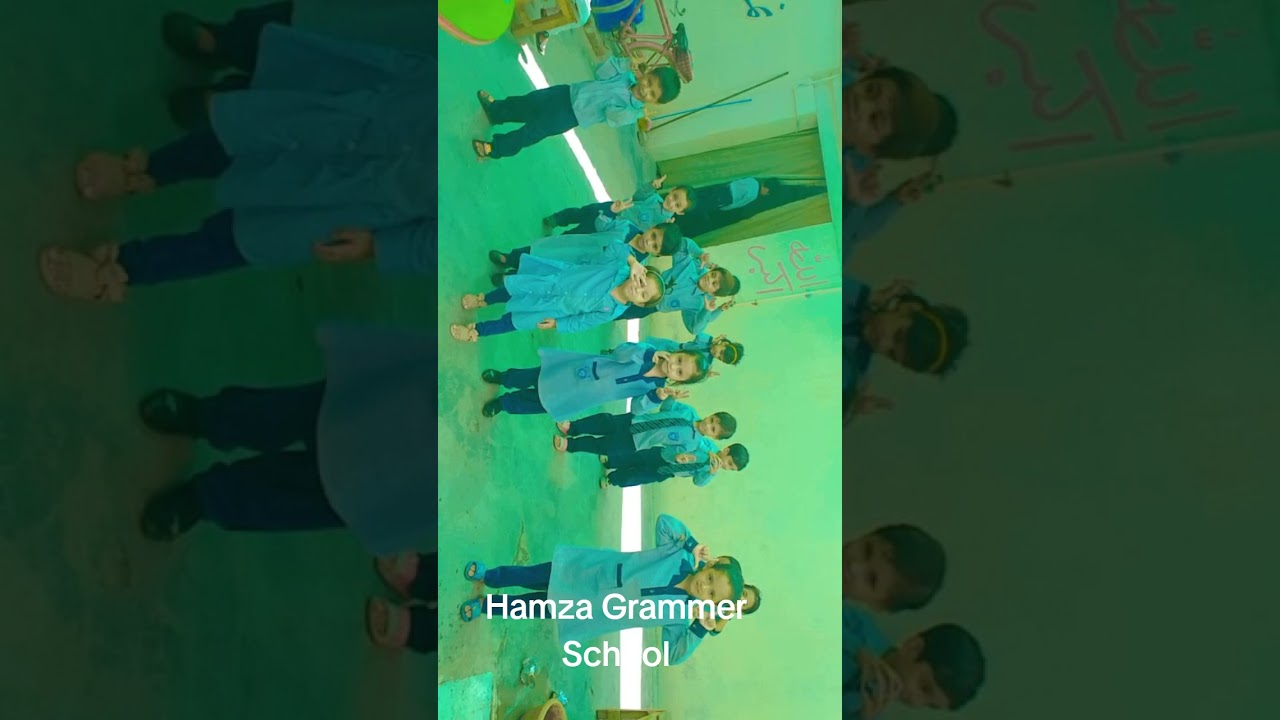 Hamza Grammer school and Science Academy PG class