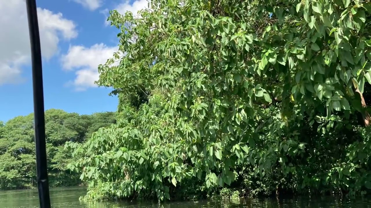 Come to the source of the nile with mee