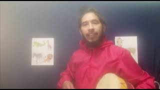 Al Ritmo de la Selva