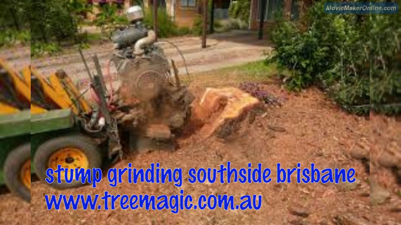 stump grinding southside brisbane - YouTube