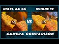 Google Pixel 4a 5G vs iPhone 12/iPhone 12 mini Camera Comparison